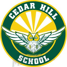 CEDAR-HILL-SCHOOL-OWLS-SOARING.jpg Custom Car Magnet - Logo Magnet