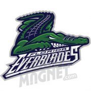 FLORIDA-EVERBLADES-ALLIGATOR.jpg Custom Car Magnet - Logo Magnet