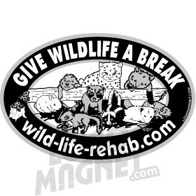 WILDLIFE-REHABILITATION-CLINIC.jpg Custom Car Magnet - Logo Magnet